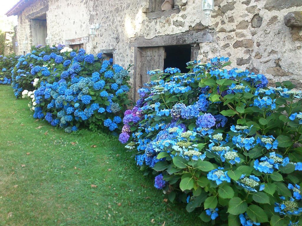 Le Domaine De Panissac Bed and Breakfast Berneuil  Exterior foto